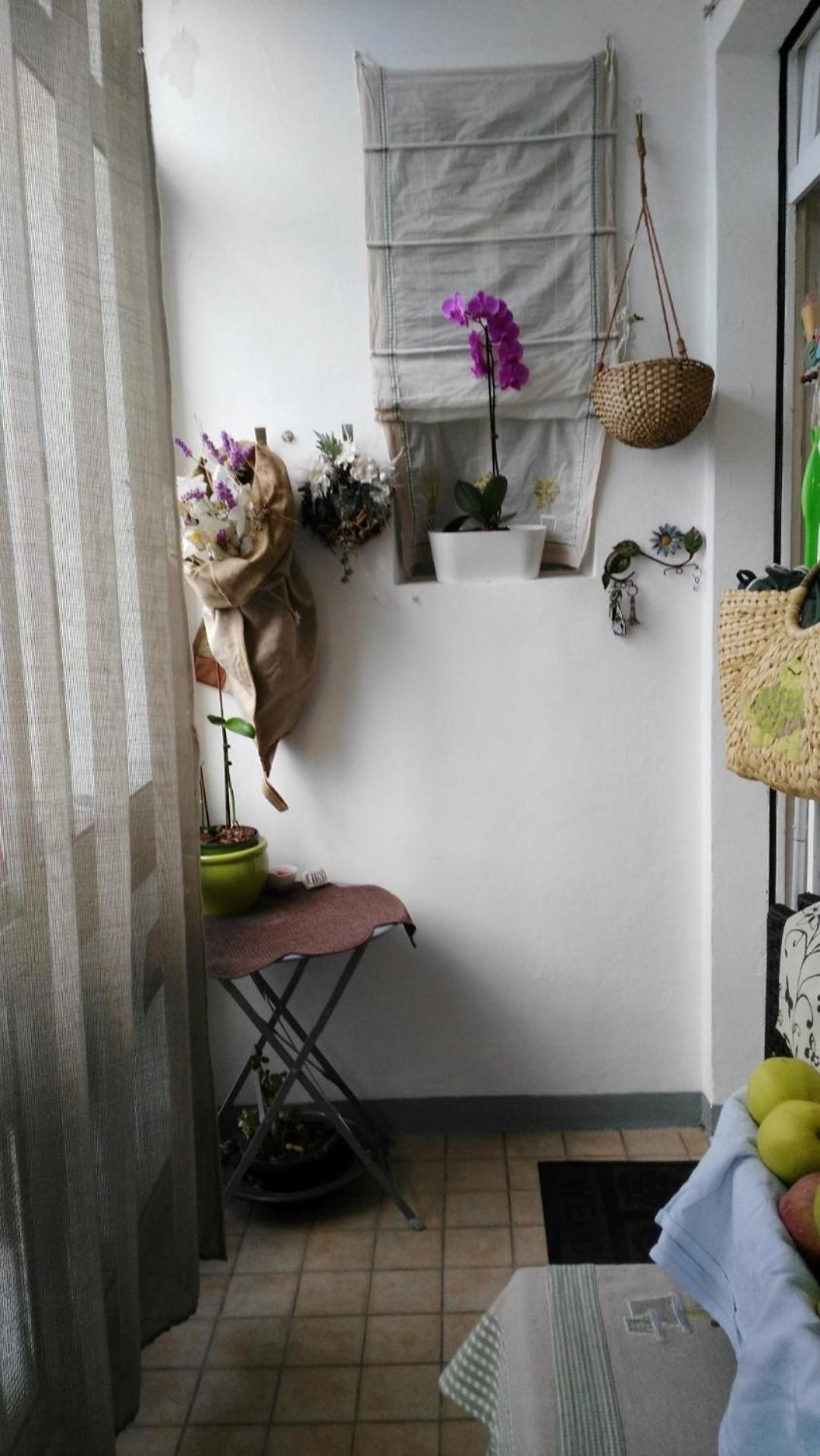 Tania House, Metro Italia 61
